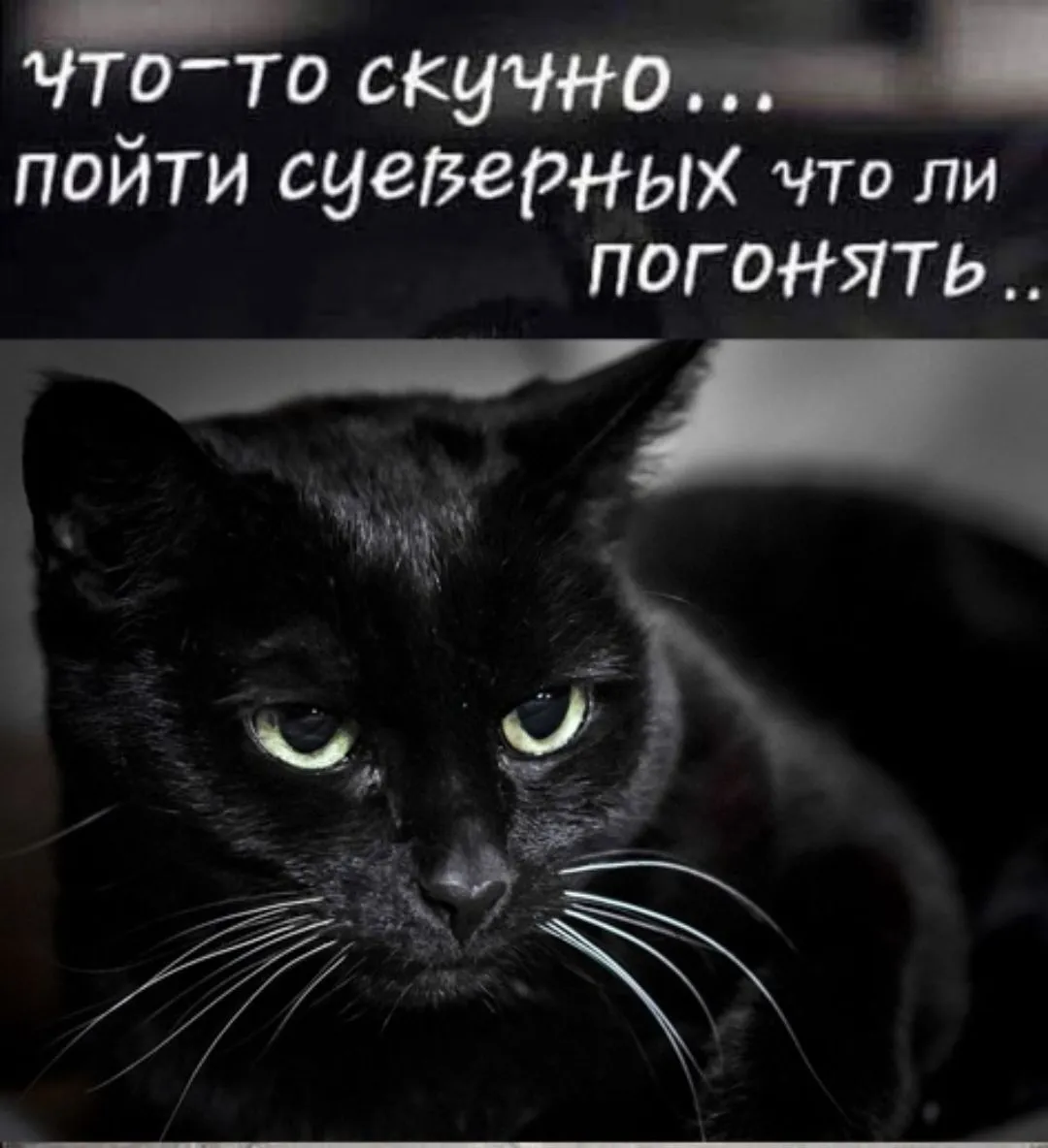 Skuchno-world71.spcs.bio.webp