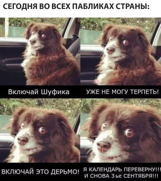 slGfCrsezIw.webp