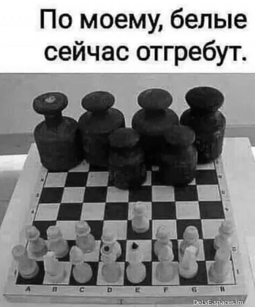 Smeshnye-kartinki-10-world74.spcs.bio.webp