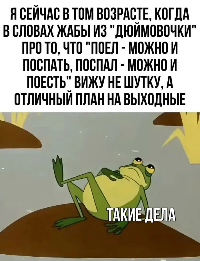 smeshnye-kartinki-prikoly-i-jumor-8-world69.spcs.bio.webp