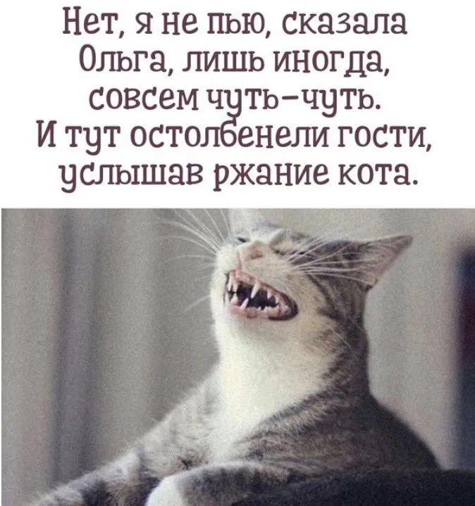 smotret-prikoly-18.webp