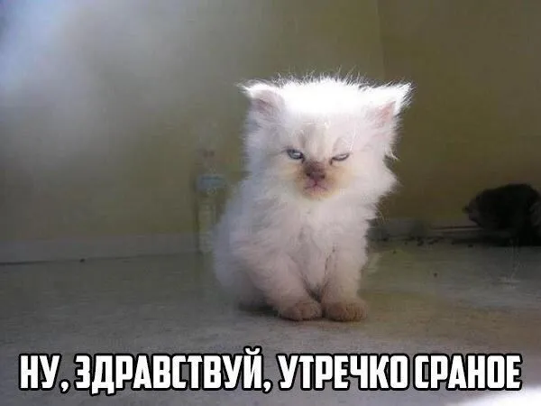 SpWILE3UDRA.webp
