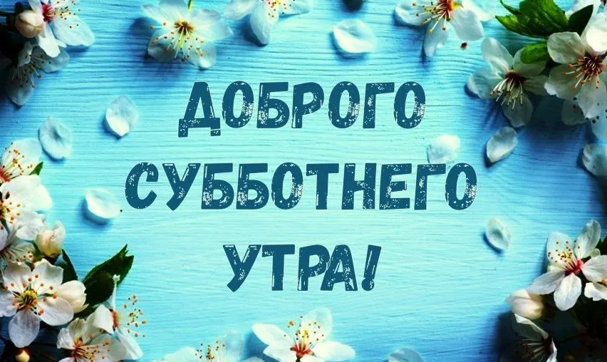 sybbota-1.webp