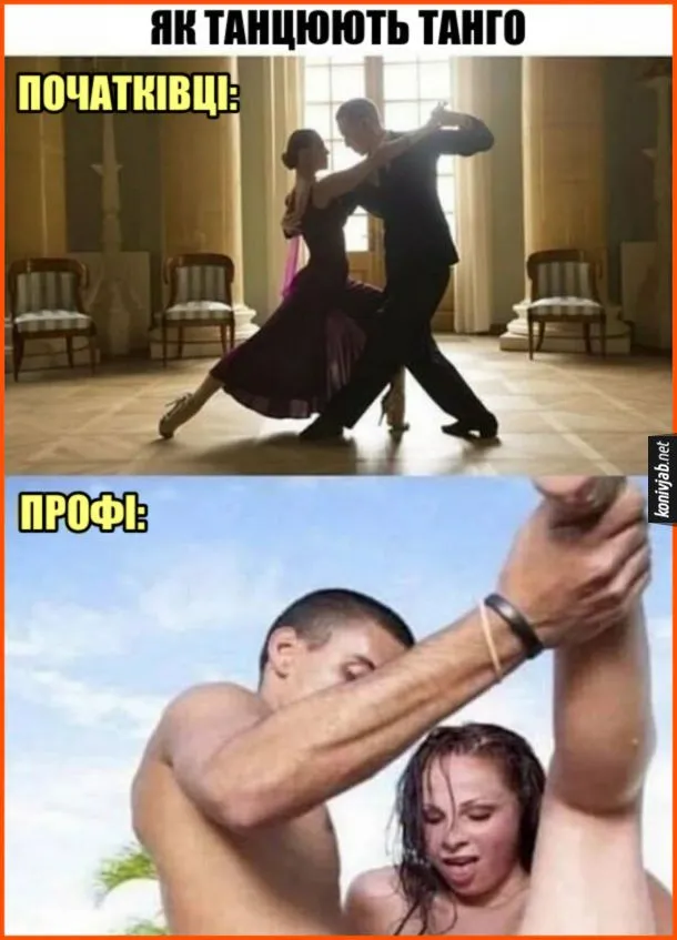 tango_profi.webp