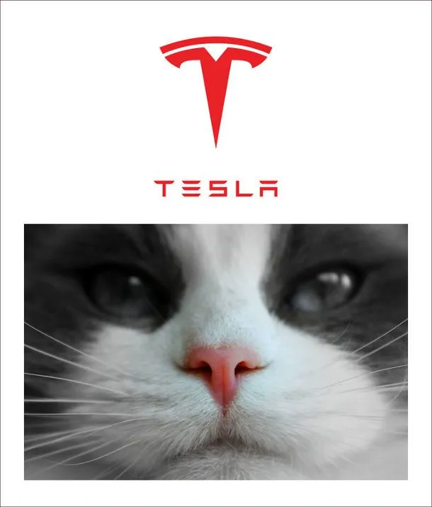 tesla-nis-kota.webp