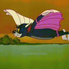 tom-flying-tom-cat-flying.gif