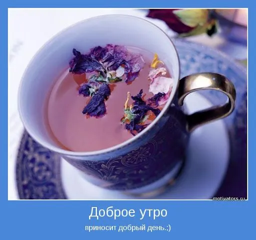 unnamed (1).webp