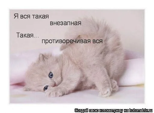 unnamed (13).webp