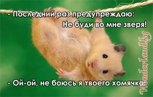 unnamed (15).webp