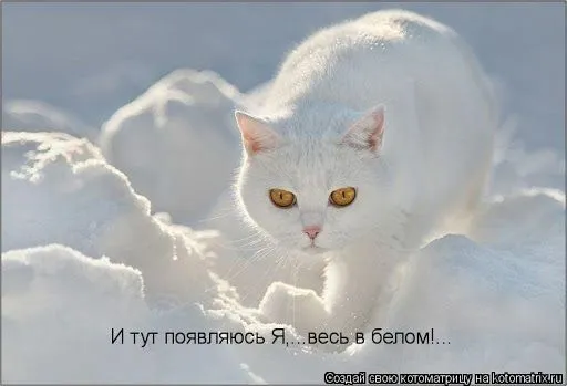 unnamed (2нннн).webp