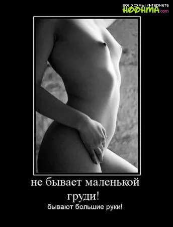 unnamed (32).webp
