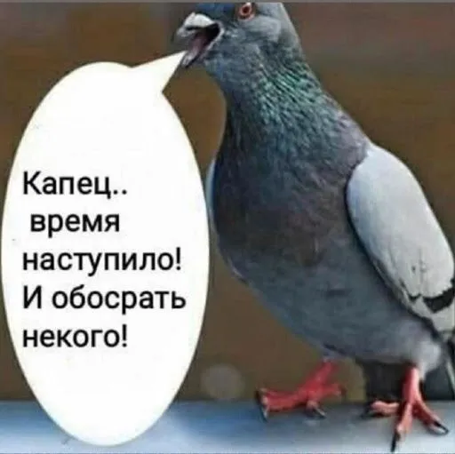 unnamннed (2).webp