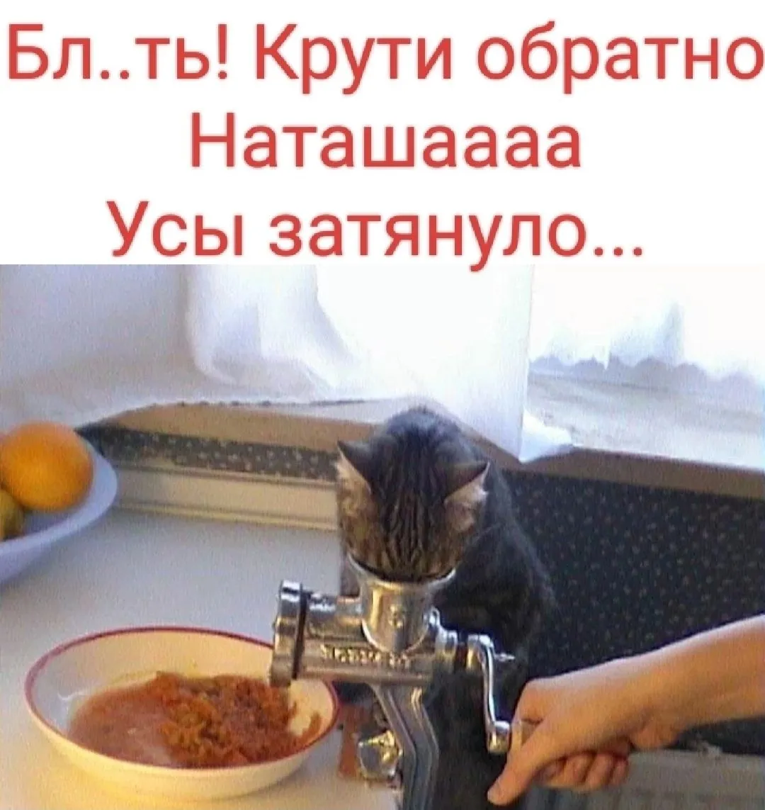 Usy_zatjanulo-world68.spcs.bio.webp