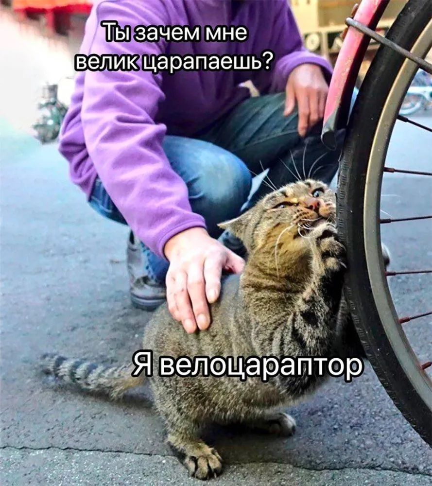 UttCsgtOqbE-world15.spcs.bio.webp