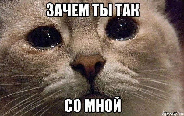 v-mire-grustit-odin-kotik_102538166_orig_.webp