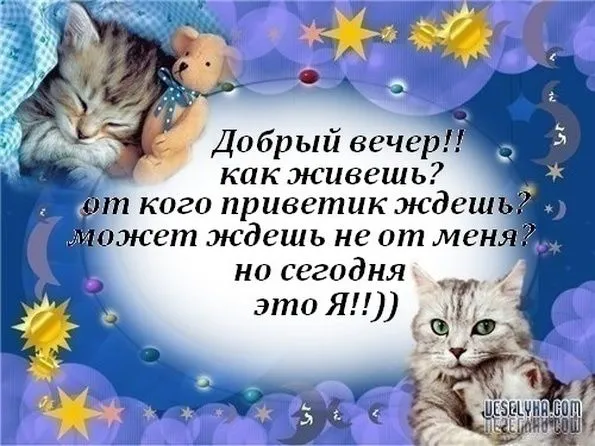 -вечер-приятного-вечера-доброго-вам-вечера-хорошего-вечера-8757.webp