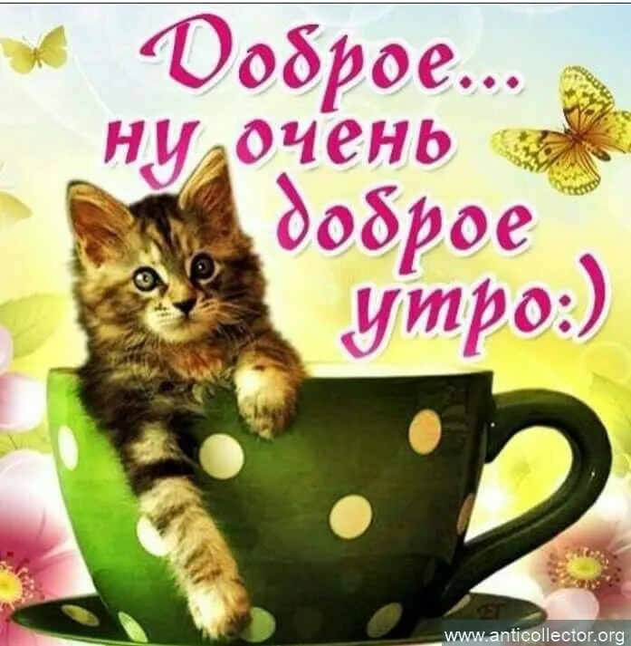 Веселые-картинки-с-добрым-утром-для-поднятия-настроения-9.webp