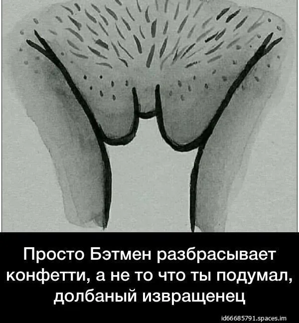 Veselye_kartinki_(85)-world74.spcs.bio.webp