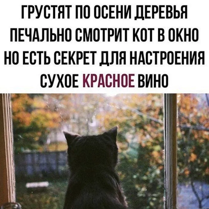 VK7cWeV5hdo.webp
