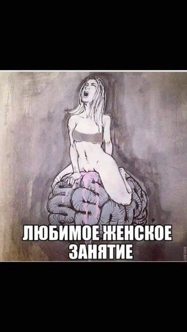 vn8wt34n84u65y6zr1k4abo56.webp