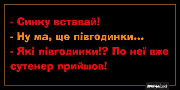 vstavaj-ma-sutener.webp