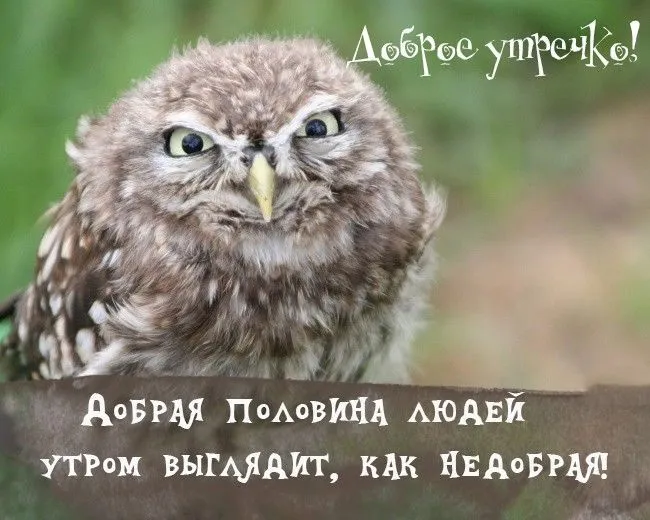 whatsapp-image-2020-11-17-at-16.10.58-4.webp