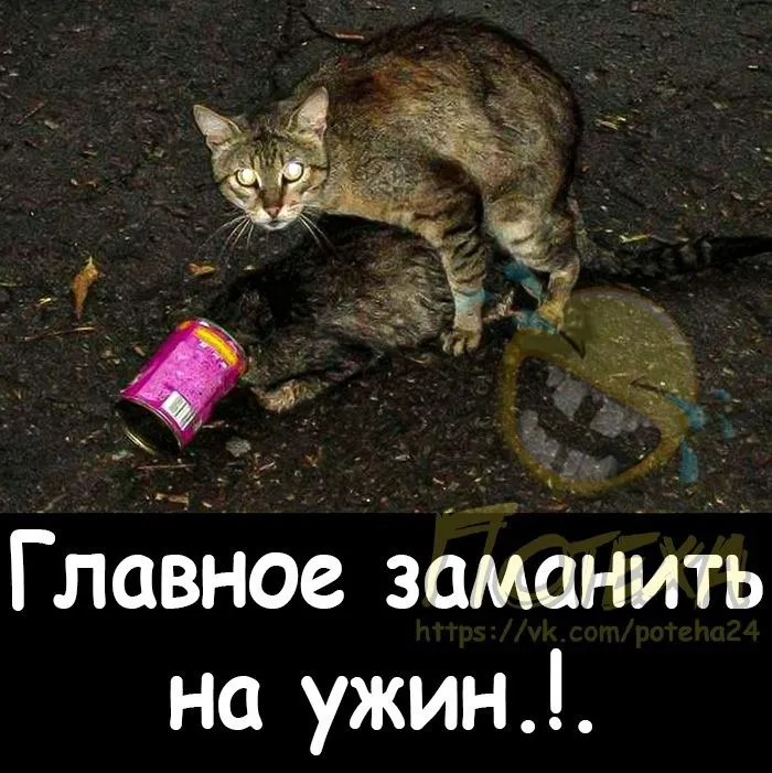 ))-world4.spcs.bio.webp