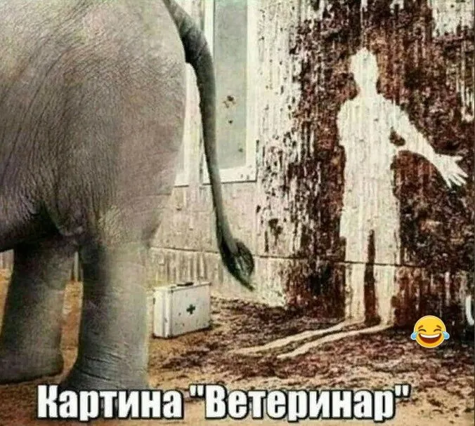 )))-world52.spcs.bio (1).webp