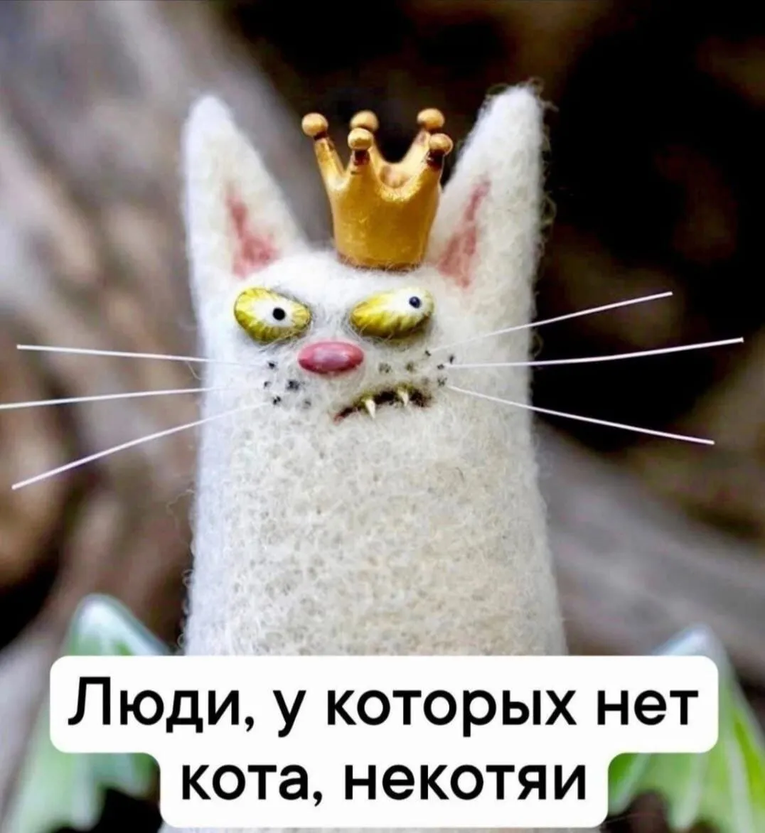 )))-world73.spcs.bio.webp