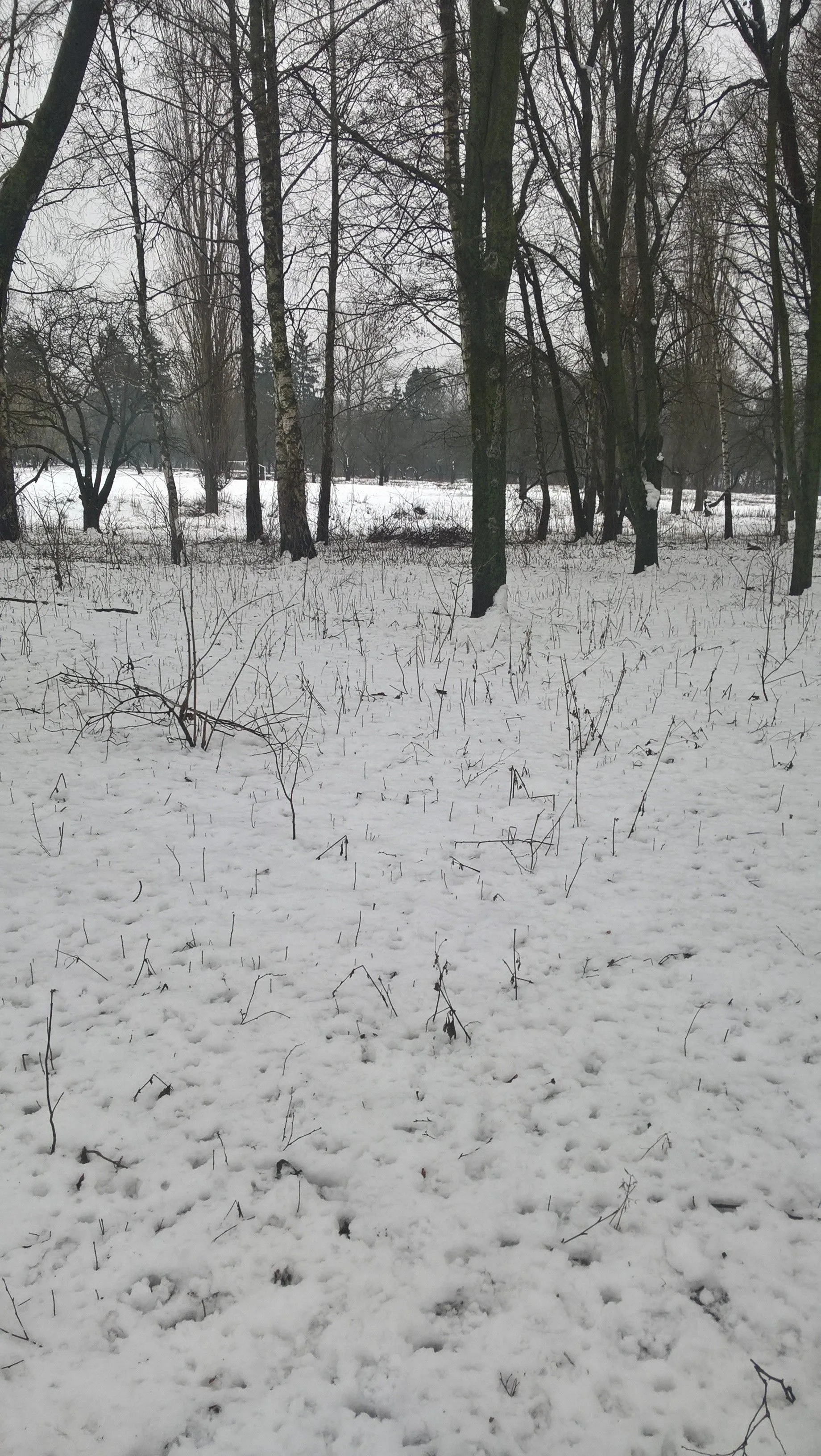 WP_20200201_11_58_46_Pro (2).webp