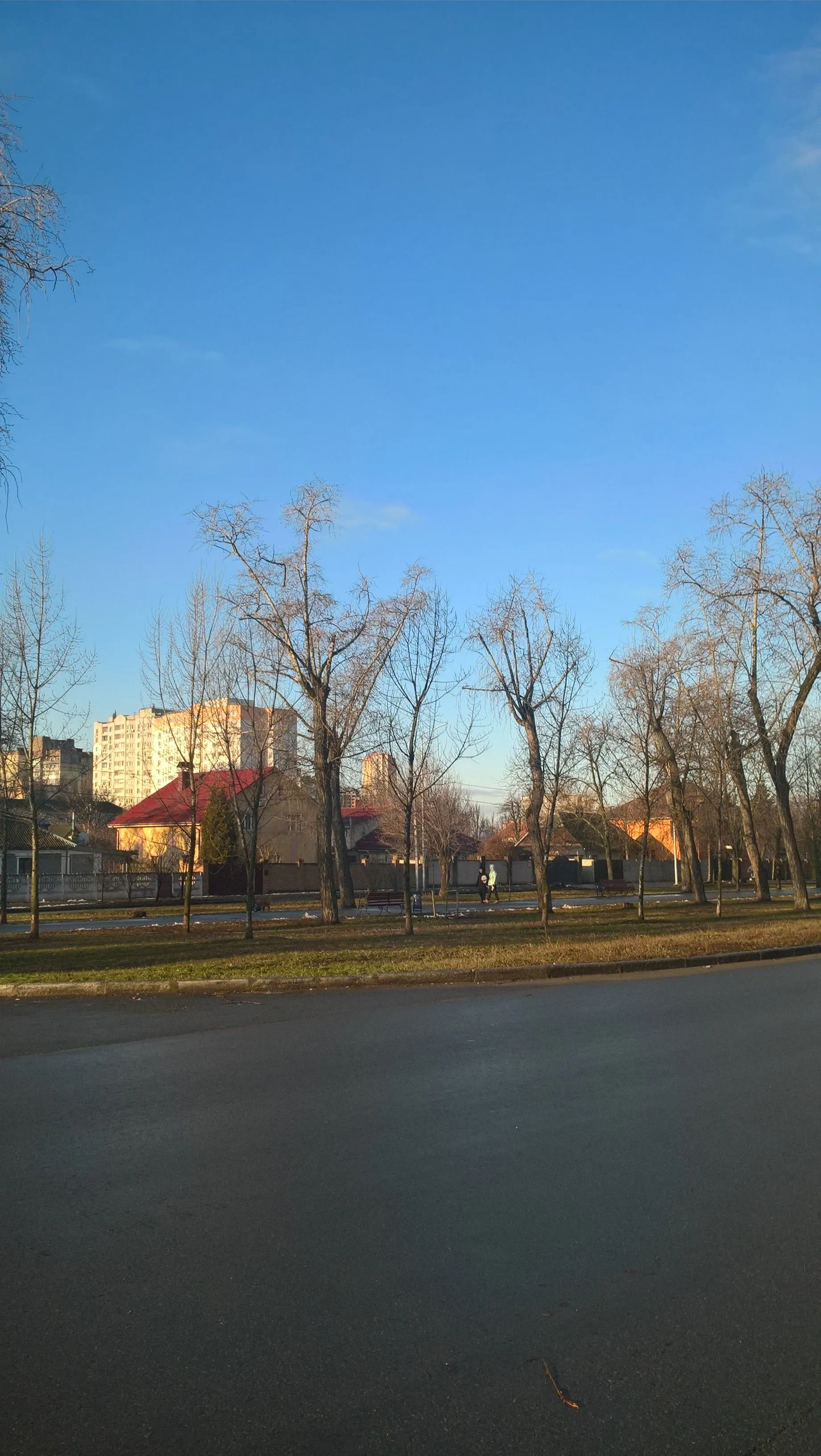 WP_20200211_08_46_17_Pro (2).webp