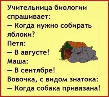Wto9981h9t0-world7.spcs.bio.webp