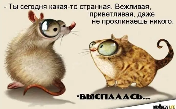 yumornye_prikoly_1_20122413.webp