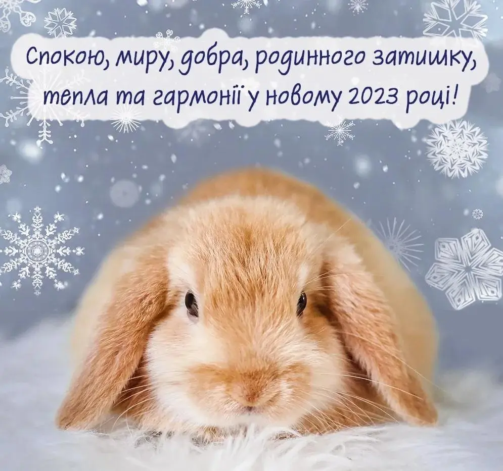 изображение_viber_2023-01-21_12-12-04-618.webp