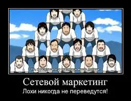 загружено (1).webp