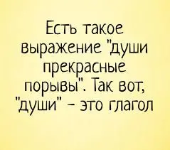 загружено (16).webp