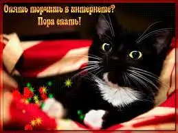 загружено (2).webp