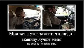 загружено (2).webp