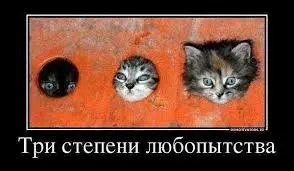 загружено (21).webp