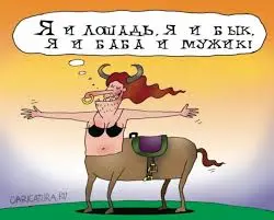 загружено (22).webp
