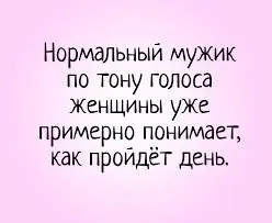 загружено (27).webp