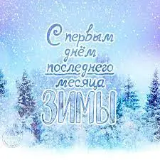 загружено (3).webp