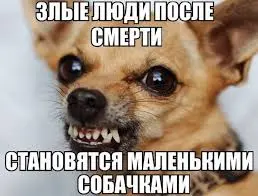 загружено (8).webp