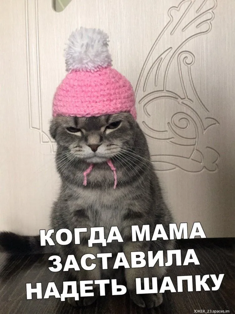 Zastavila_nadet_wapku-world9.spcs.bio.webp