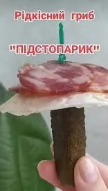 завантаження (2)~2.jpeg