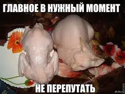 завантаження (2).webp