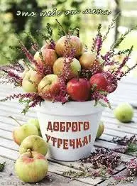 завантаження (2).webp