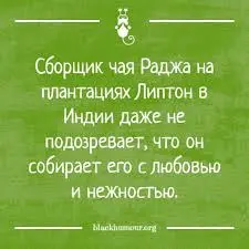 завантаження (8).webp