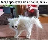 завантаження.jpeg.webp