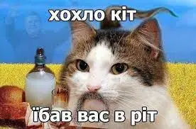 завантаження.webp
